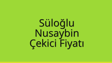 Süloğlu Çekici Fiyatı – Nusaybin Oto Kurtarıcı Ücreti