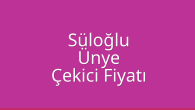 Süloğlu Çekici Fiyatı – Ünye Oto Kurtarıcı Ücreti