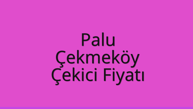 Palu Çekici Fiyatı – Çekmeköy Oto Kurtarıcı Ücreti