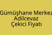 Gümüşhane Merkez Çekici Fiyatı – Adilcevaz Oto Kurtarıcı Ücreti