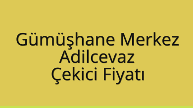 Gümüşhane Merkez Çekici Fiyatı – Adilcevaz Oto Kurtarıcı Ücreti