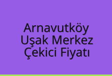 Arnavutköy Çekici Fiyatı – Uşak Merkez Oto Kurtarıcı Ücreti