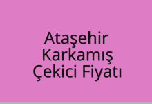 Ataşehir Çekici Fiyatı – Karkamış Oto Kurtarıcı Ücreti