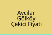 Avcılar Çekici Fiyatı – Gölköy Oto Kurtarıcı Ücreti