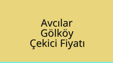 Avcılar Çekici Fiyatı – Gölköy Oto Kurtarıcı Ücreti