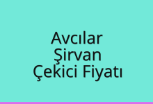 Avcılar Çekici Fiyatı – Şirvan Oto Kurtarıcı Ücreti