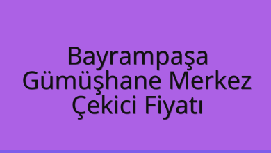 Bayrampaşa Çekici Fiyatı – Gümüşhane Merkez Oto Kurtarıcı Ücreti