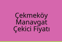 Çekmeköy Çekici Fiyatı – Manavgat Oto Kurtarıcı Ücreti