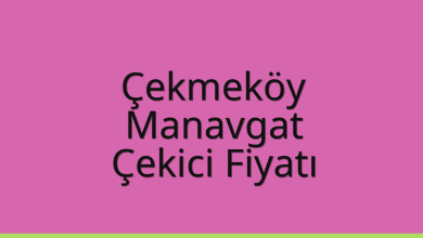 Çekmeköy Çekici Fiyatı – Manavgat Oto Kurtarıcı Ücreti