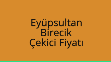 Eyüpsultan Çekici Fiyatı – Birecik Oto Kurtarıcı Ücreti