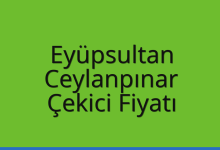 Eyüpsultan Çekici Fiyatı – Ceylanpınar Oto Kurtarıcı Ücreti