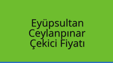 Eyüpsultan Çekici Fiyatı – Ceylanpınar Oto Kurtarıcı Ücreti