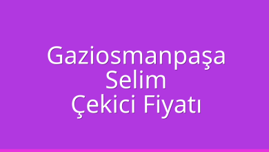Gaziosmanpaşa Çekici Fiyatı – Selim Oto Kurtarıcı Ücreti