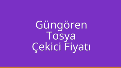 Güngören Çekici Fiyatı – Tosya Oto Kurtarıcı Ücreti