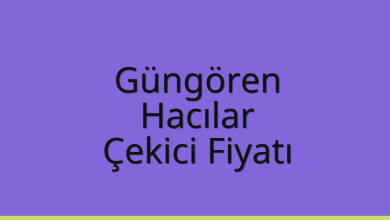 Güngören Çekici Fiyatı – Hacılar Oto Kurtarıcı Ücreti