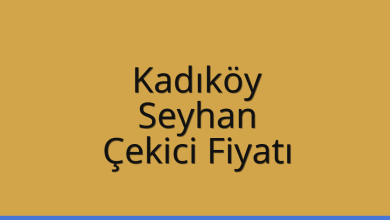Kadıköy Çekici Fiyatı – Seyhan Oto Kurtarıcı Ücreti