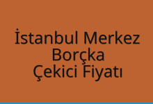 İstanbul Merkez Çekici Fiyatı – Borçka Oto Kurtarıcı Ücreti