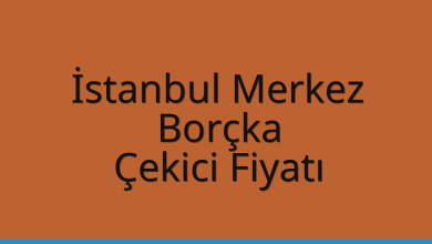 İstanbul Merkez Çekici Fiyatı – Borçka Oto Kurtarıcı Ücreti
