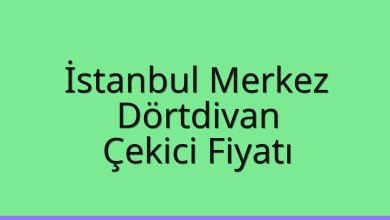 İstanbul Merkez Çekici Fiyatı – Dörtdivan Oto Kurtarıcı Ücreti