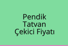 Pendik Çekici Fiyatı – Tatvan Oto Kurtarıcı Ücreti