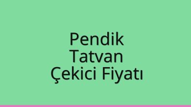 Pendik Çekici Fiyatı – Tatvan Oto Kurtarıcı Ücreti