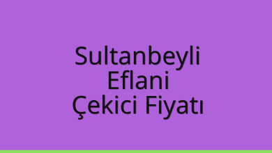 Sultanbeyli Çekici Fiyatı – Eflani Oto Kurtarıcı Ücreti