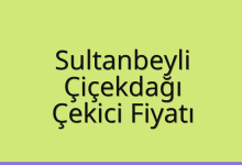 Sultanbeyli Çekici Fiyatı – Çiçekdağı Oto Kurtarıcı Ücreti