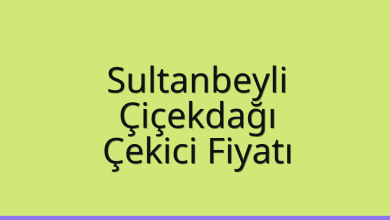 Sultanbeyli Çekici Fiyatı – Çiçekdağı Oto Kurtarıcı Ücreti