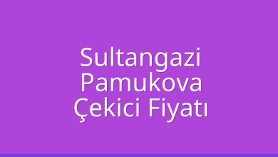 Sultangazi Çekici Fiyatı – Pamukova Oto Kurtarıcı Ücreti