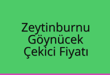 Zeytinburnu Çekici Fiyatı – Göynücek Oto Kurtarıcı Ücreti