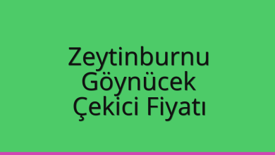 Zeytinburnu Çekici Fiyatı – Göynücek Oto Kurtarıcı Ücreti