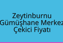 Zeytinburnu Çekici Fiyatı – Gümüşhane Merkez Oto Kurtarıcı Ücreti