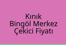 Kınık Çekici Fiyatı – Bingöl Merkez Oto Kurtarıcı Ücreti