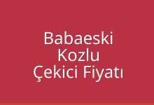 Babaeski Çekici Fiyatı – Kozlu Oto Kurtarıcı Ücreti