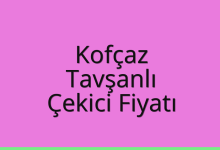 Kofçaz Çekici Fiyatı – Tavşanlı Oto Kurtarıcı Ücreti