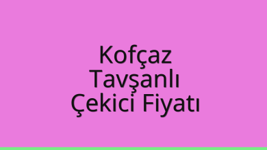 Kofçaz Çekici Fiyatı – Tavşanlı Oto Kurtarıcı Ücreti