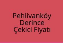 Pehlivanköy Çekici Fiyatı – Derince Oto Kurtarıcı Ücreti