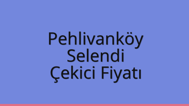 Pehlivanköy Çekici Fiyatı – Selendi Oto Kurtarıcı Ücreti