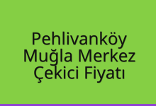 Pehlivanköy Çekici Fiyatı – Muğla Merkez Oto Kurtarıcı Ücreti