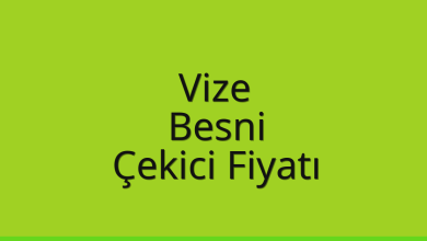 Vize Çekici Fiyatı – Besni Oto Kurtarıcı Ücreti