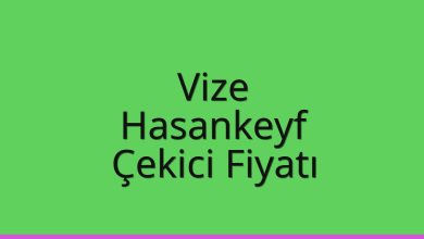 Vize Çekici Fiyatı – Hasankeyf Oto Kurtarıcı Ücreti