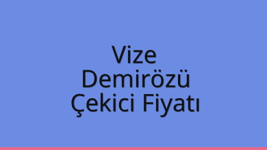 Vize Çekici Fiyatı – Demirözü Oto Kurtarıcı Ücreti