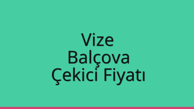 Vize Çekici Fiyatı – Balçova Oto Kurtarıcı Ücreti