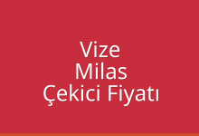 Vize Çekici Fiyatı – Milas Oto Kurtarıcı Ücreti