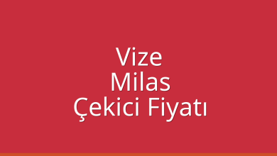 Vize Çekici Fiyatı – Milas Oto Kurtarıcı Ücreti
