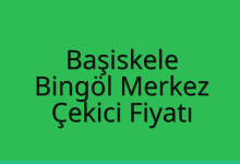 Başiskele Çekici Fiyatı – Bingöl Merkez Oto Kurtarıcı Ücreti