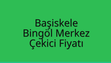 Başiskele Çekici Fiyatı – Bingöl Merkez Oto Kurtarıcı Ücreti