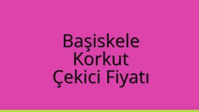 Başiskele Çekici Fiyatı – Korkut Oto Kurtarıcı Ücreti