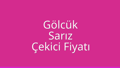 Gölcük Çekici Fiyatı – Sarız Oto Kurtarıcı Ücreti