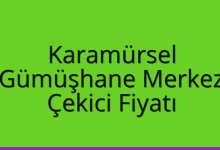 Karamürsel Çekici Fiyatı – Gümüşhane Merkez Oto Kurtarıcı Ücreti
